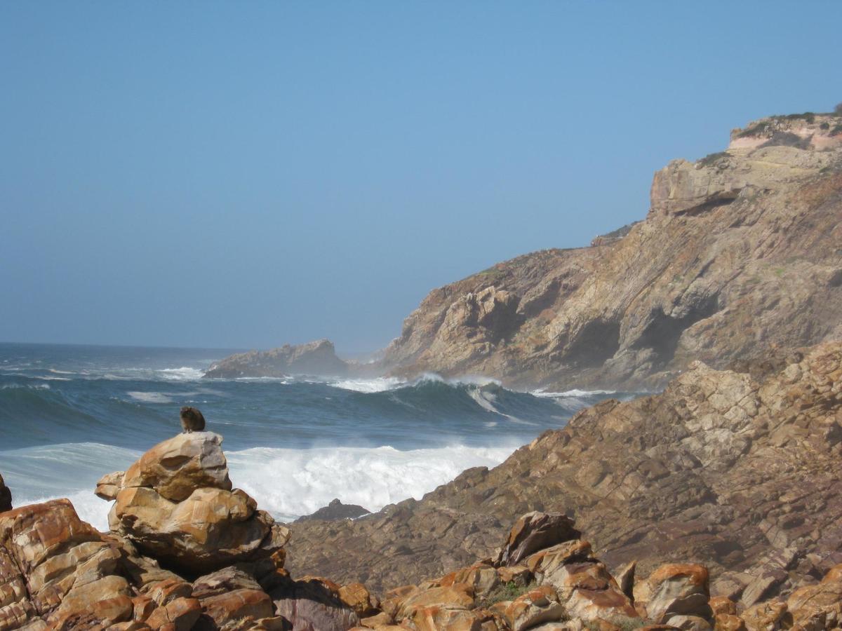 The Point Hotel & Spa Mossel Bay Bagian luar foto
